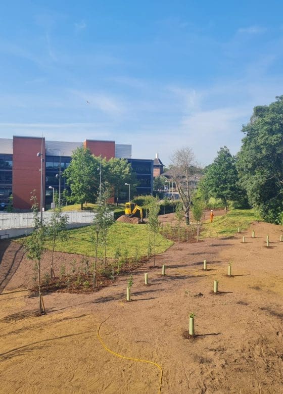 Landscaping at Birmingham Uni Railway Station RSK Habitat Management